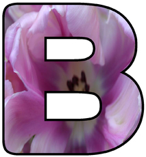 Deko-Buchstaben-Tulpe_B.jpg